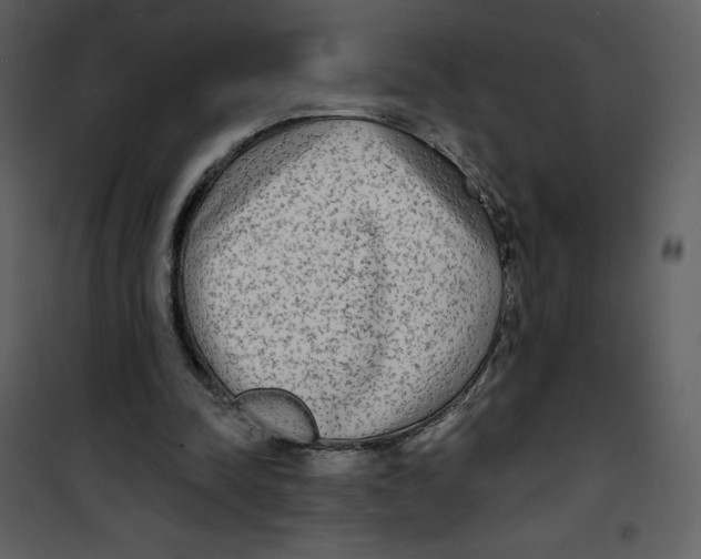 X0000100840342200807180925