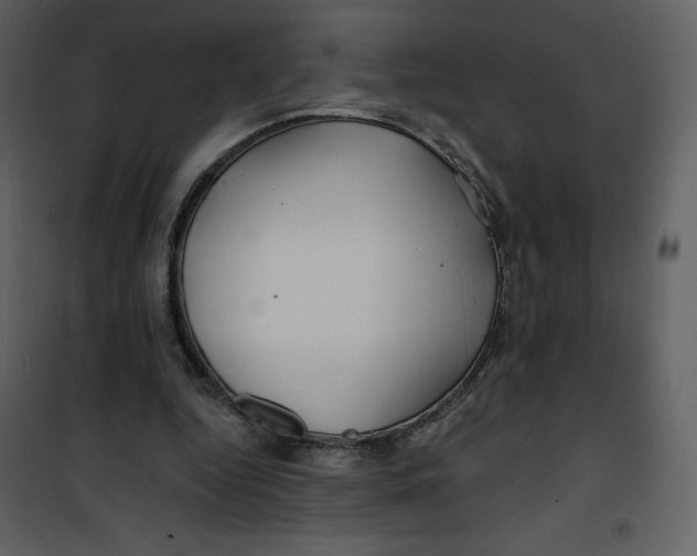 X0000100840344200807180925