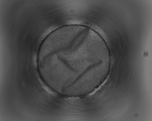 X0000100840345200807180925