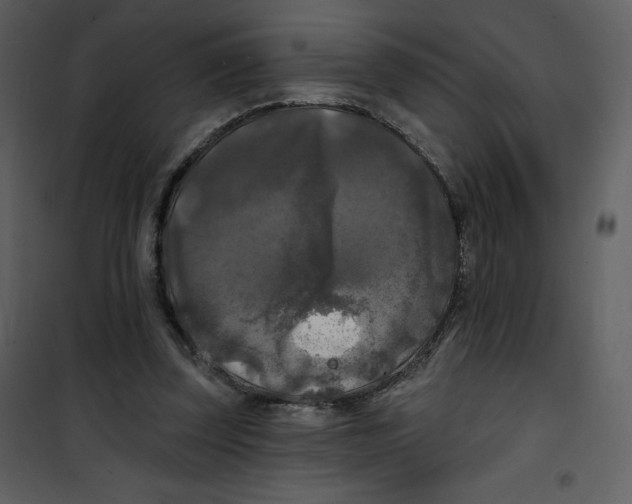 X0000100840347200807180925