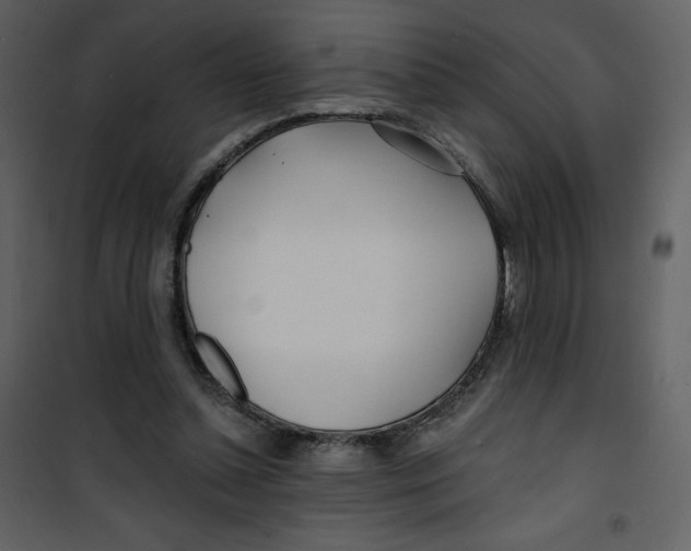 X0000100840348200807180925