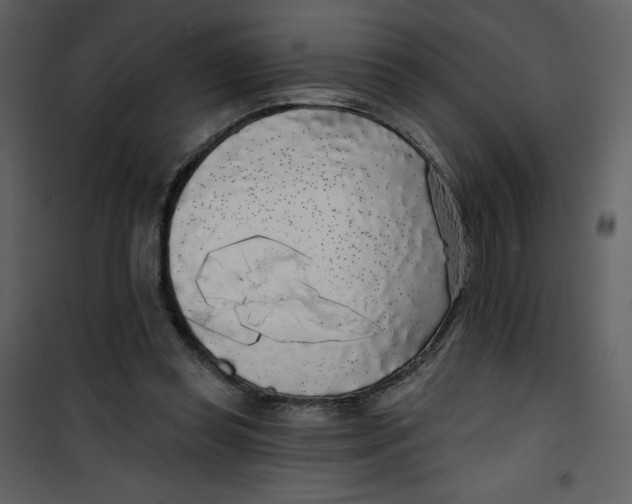 X0000100840349200807180925