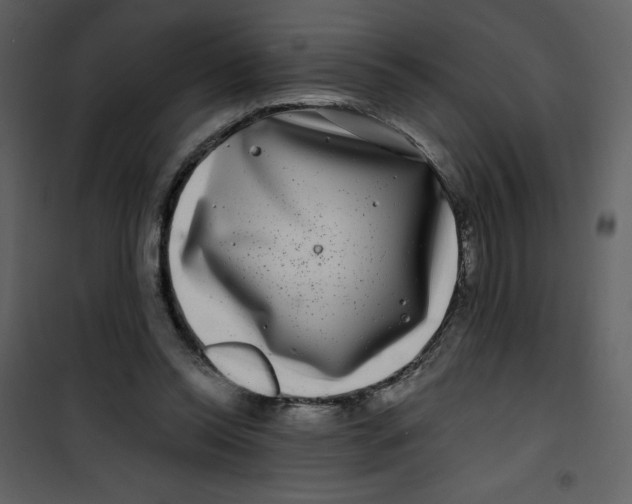 X0000100840350200807180925