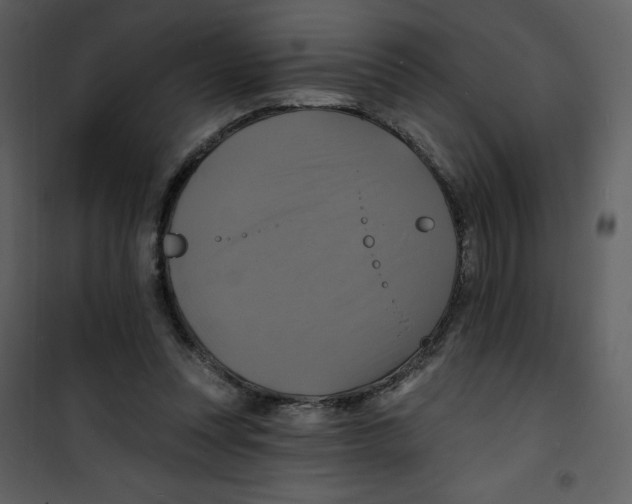 X0000100840351200807180925