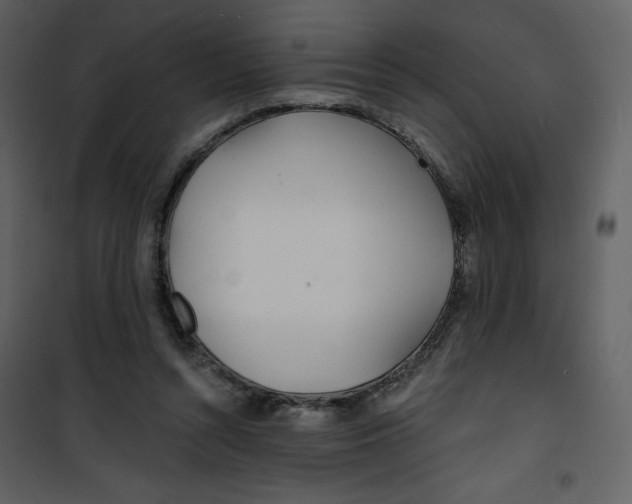 X0000100840352200807180925