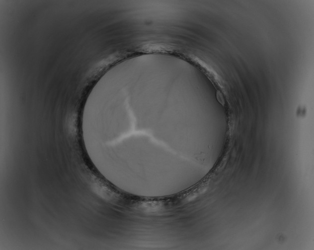 X0000100840353200807180925