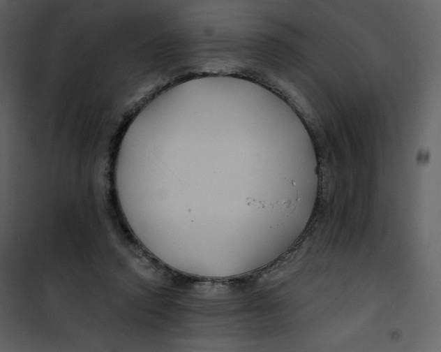 X0000100840354200807180925