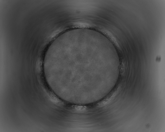 X0000100840355200807180925