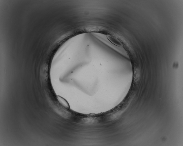 X0000100840356200807180925