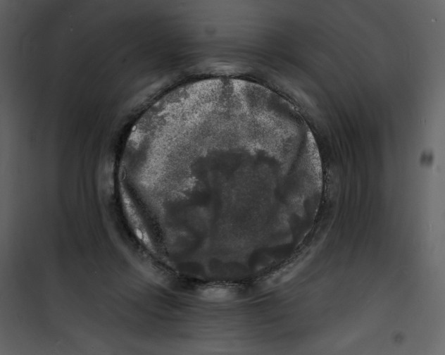 X0000100840358200807180925