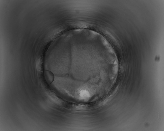 X0000100840359200807180925