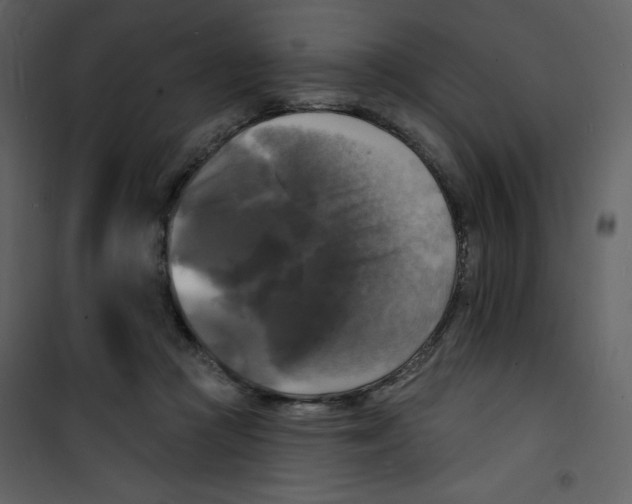 X0000100840361200807180925