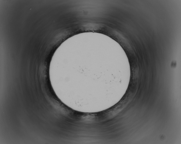 X0000100840362200807180926