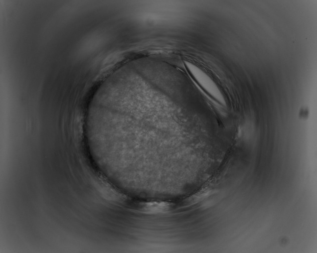 X0000100840363200807180926