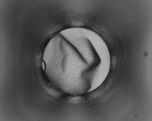 X0000100840364200807180926