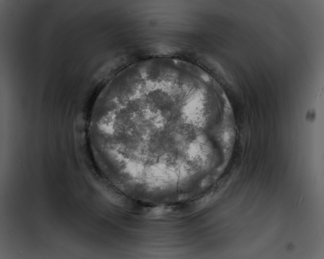 X0000100840366200807180926
