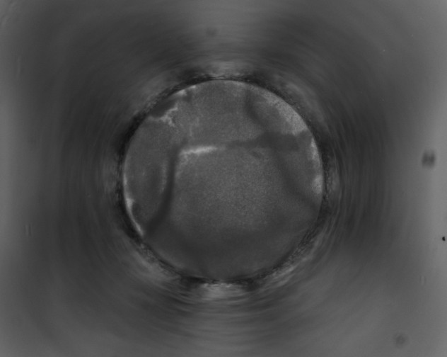 X0000100840367200807180926