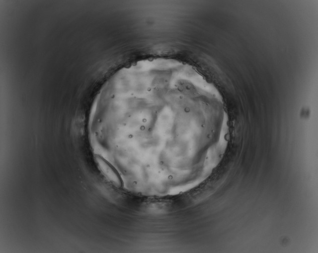 X0000100840368200807180926