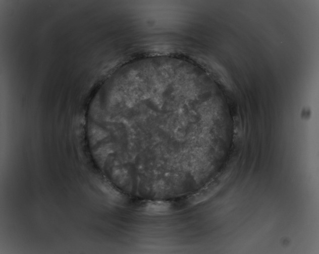 X0000100840369200807180926