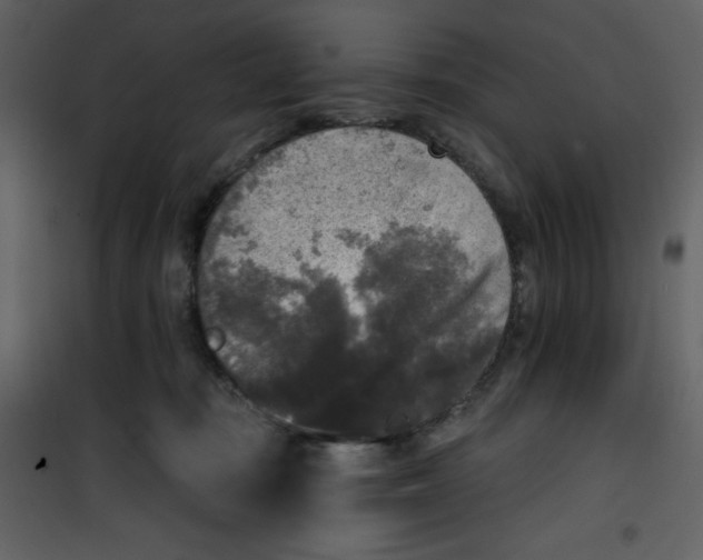 X0000100840371200807180926