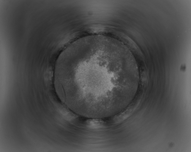 X0000100840372200807180926