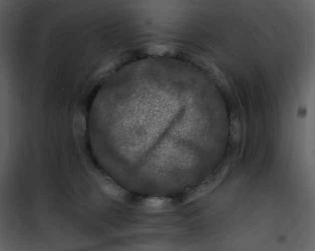 X0000100840375200807180926