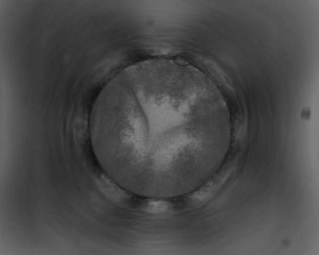 X0000100840376200807180926