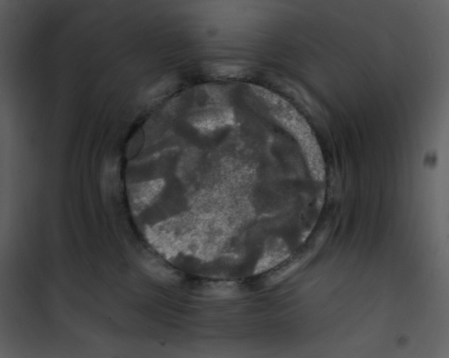 X0000100840377200807180926