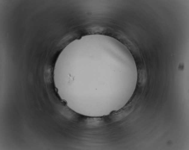 X0000100840378200807180926