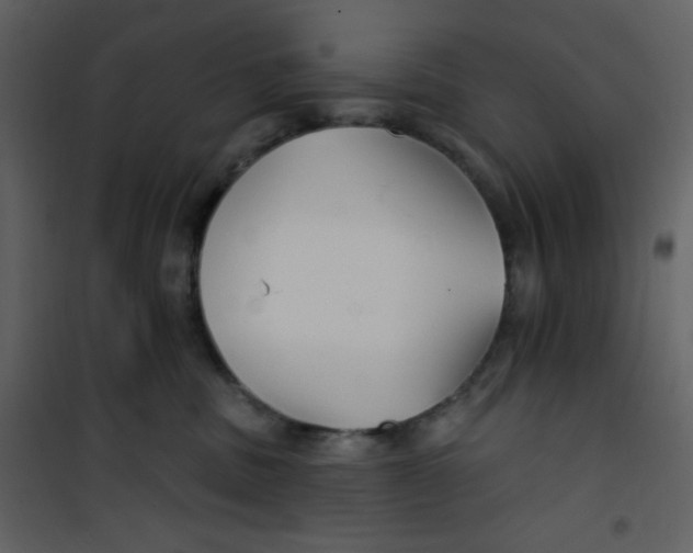 X0000100840379200807180926