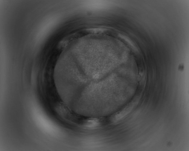 X0000100840381200807180926