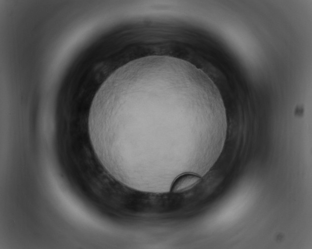 X0000100840383200807180926