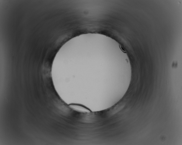 X0000100840384200807180926