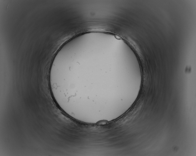 X0000100840385200807180925