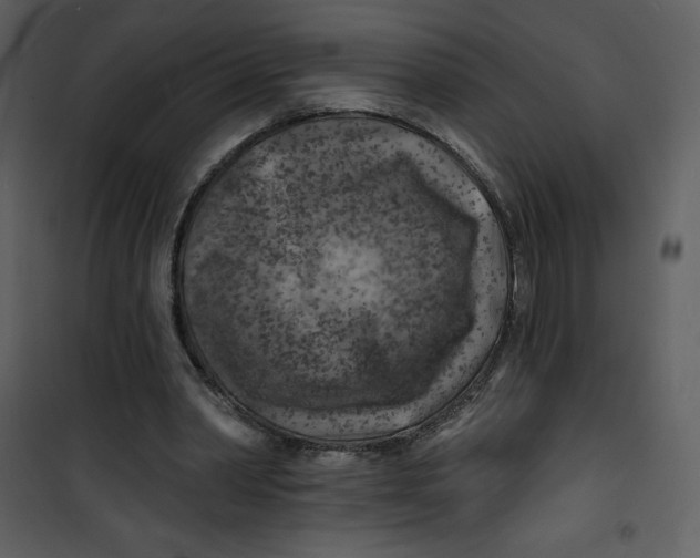 X0000100840390200807180925