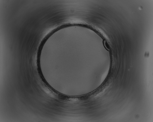 X0000100840391200807180925