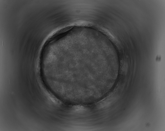 X0000100840392200807180925