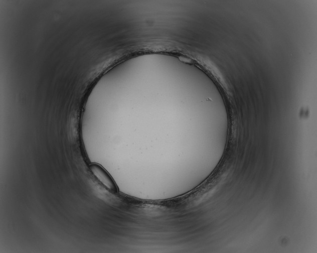 X0000100840393200807180925