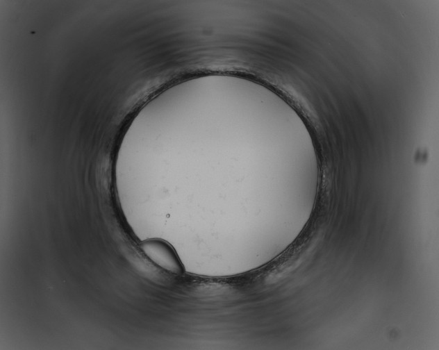 X0000100840397200807180925