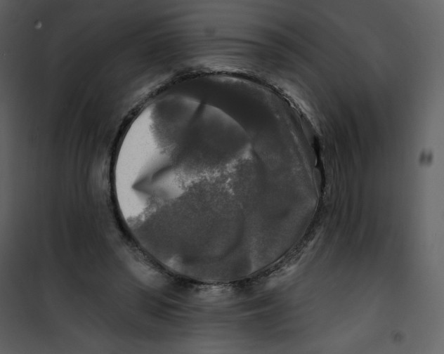 X0000100840398200807180925