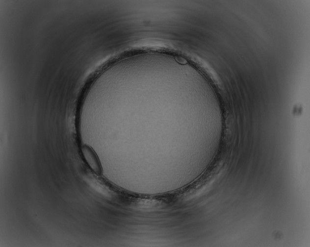 X0000100840399200807180925