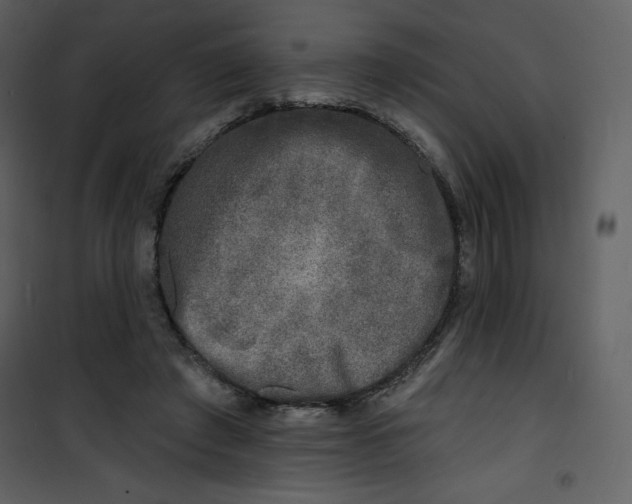 X0000100840401200807180925