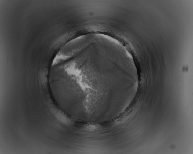 X0000100840402200807180925