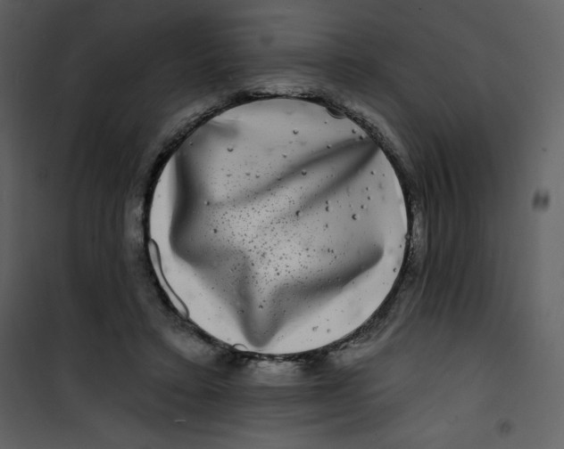 X0000100840403200807180925