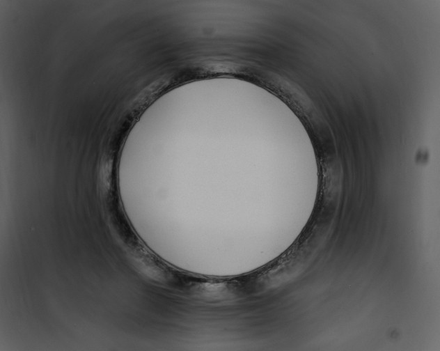 X0000100840406200807180925