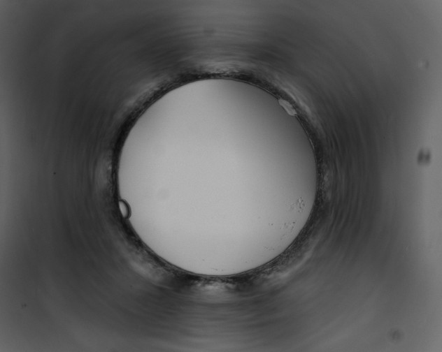 X0000100840407200807180925