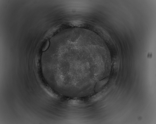 X0000100840408200807180925