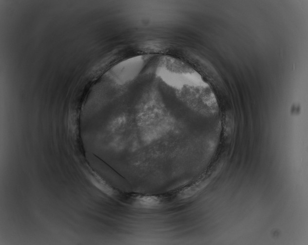 X0000100840409200807180925