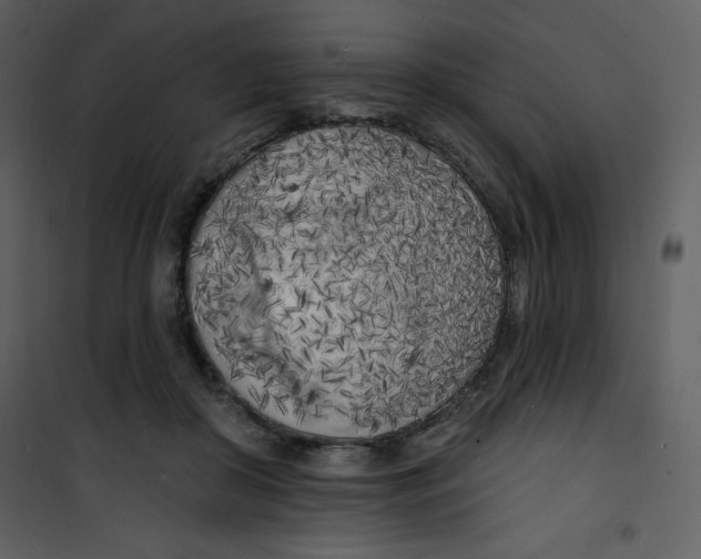 X0000100840410200807180925