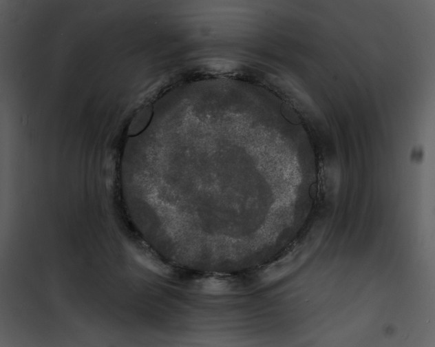 X0000100840412200807180925